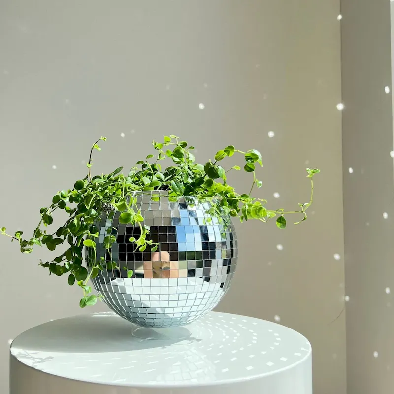 8" Disco Ball Planter 2025 voucher - Sale